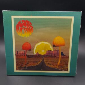 LOS ACIDOS "Los acidos"