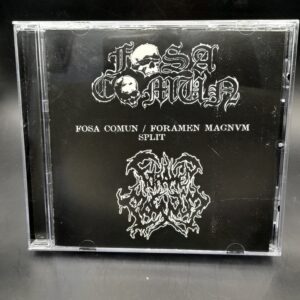 FOSA COMÚN / FORAMEN MAGNVM "Split"